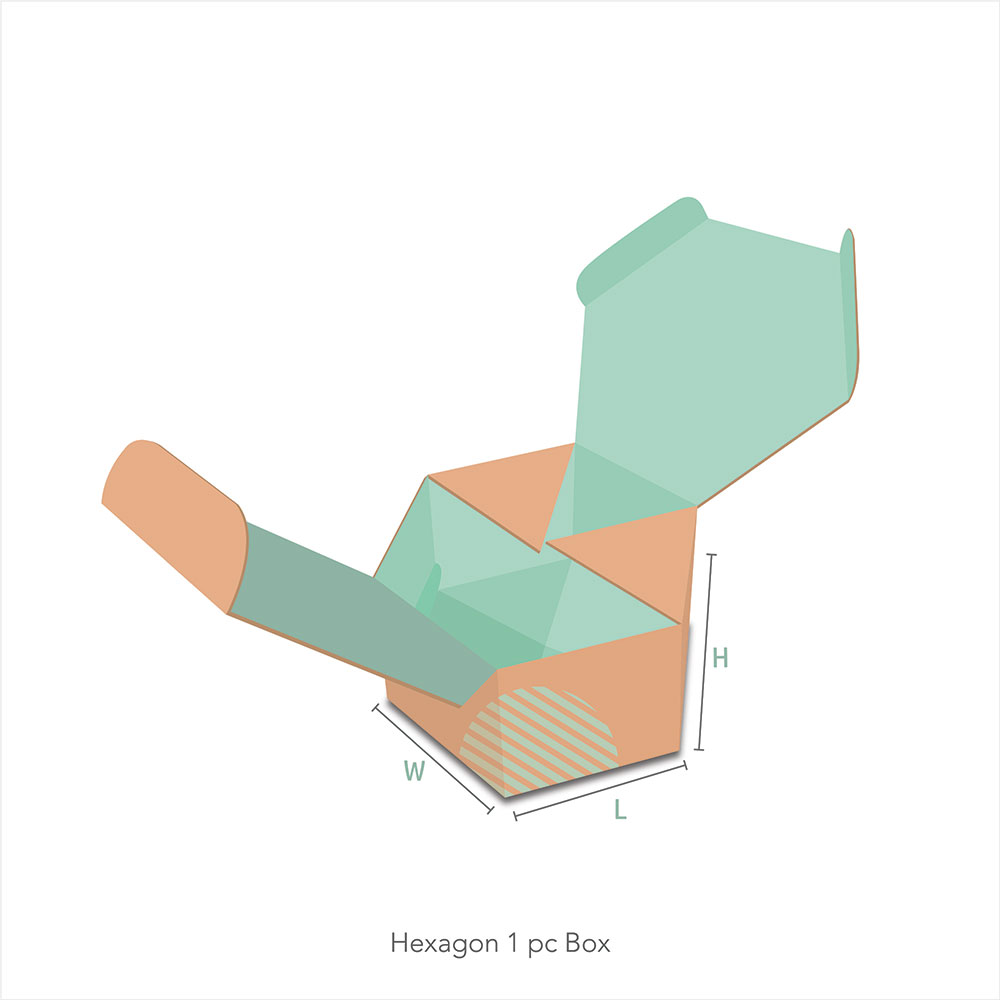 Hexagon-one-piece-1