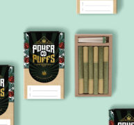 Pre-Roll-Packaging-Stand-Out